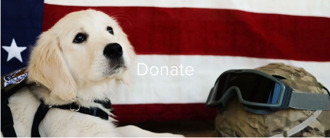 Donate to Valor Service Dogs cover image