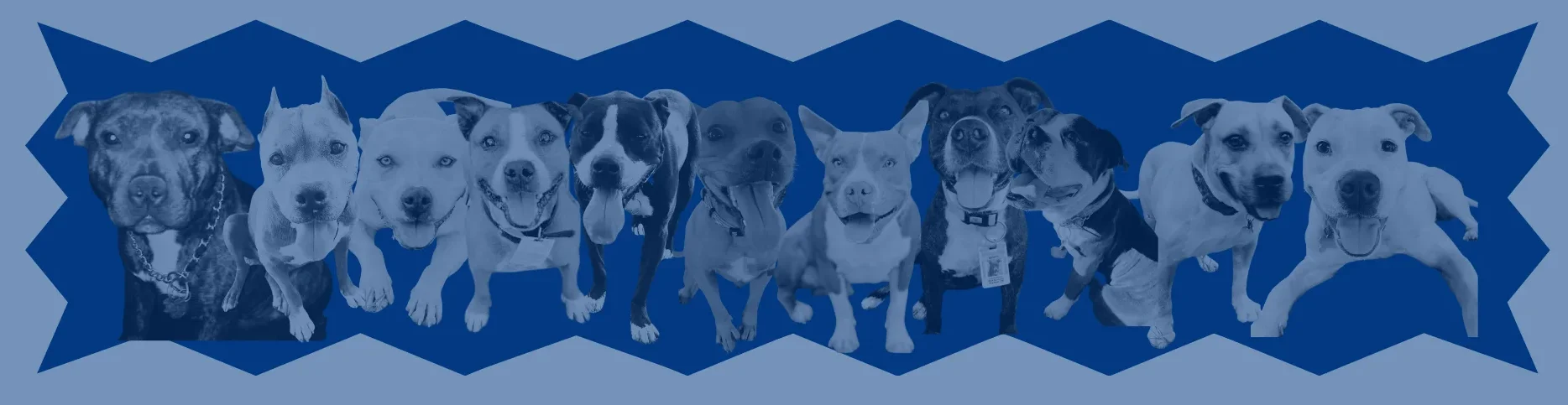 Campaign cover image