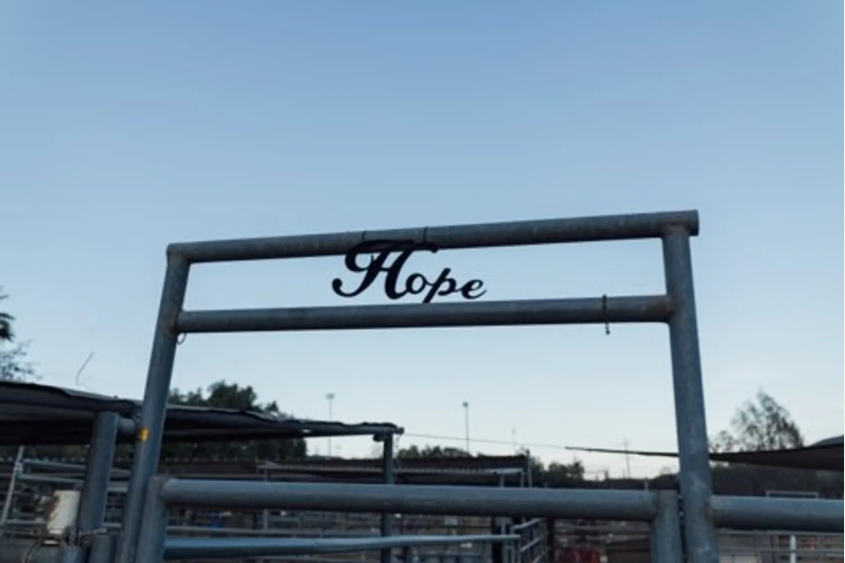 Campaign cover image