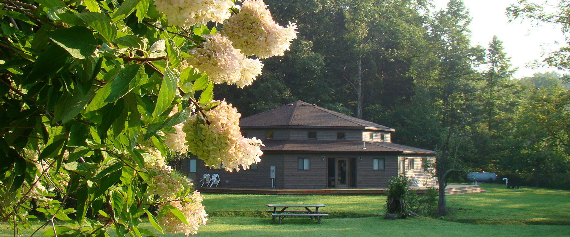 Hope Springs Institute cover image