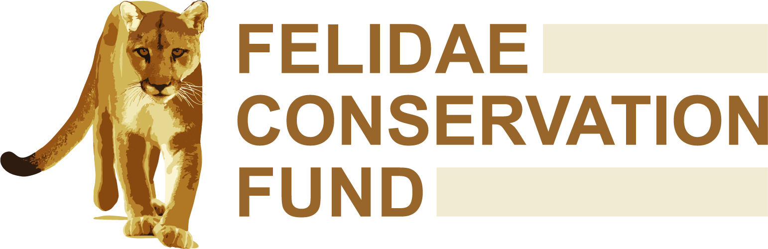 Nonprofit logo