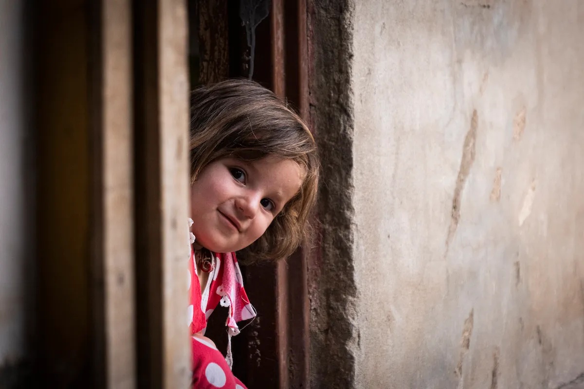 Save Lives. Donate Now. cover image