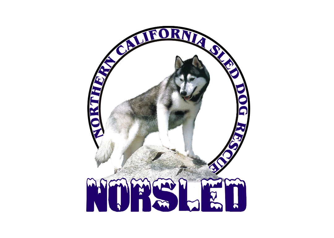 Nonprofit logo