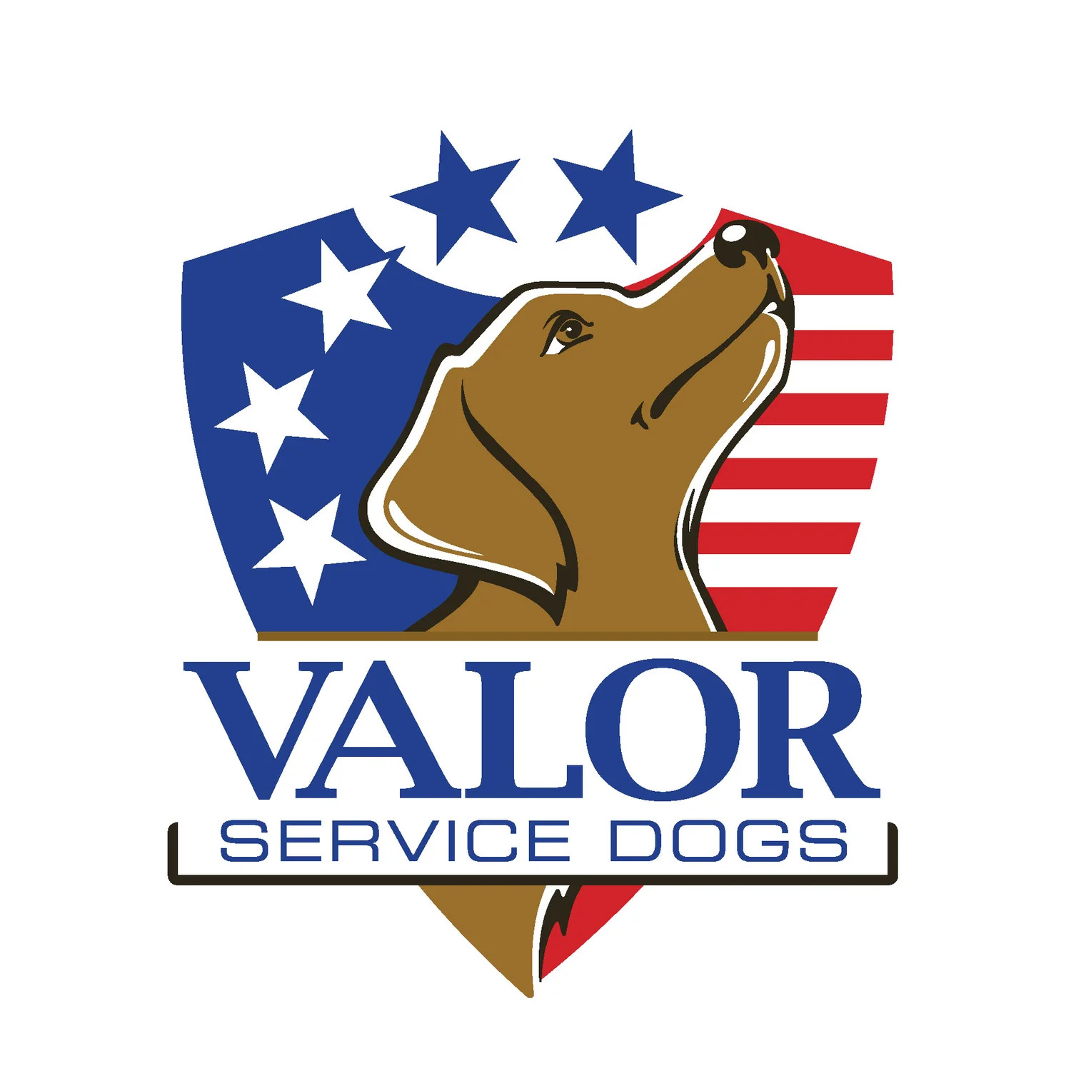 Nonprofit logo