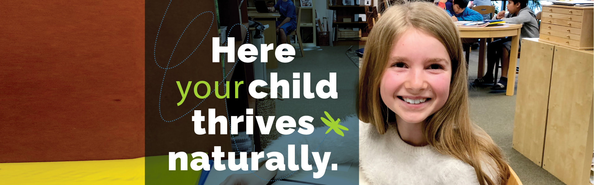 Campaign cover image