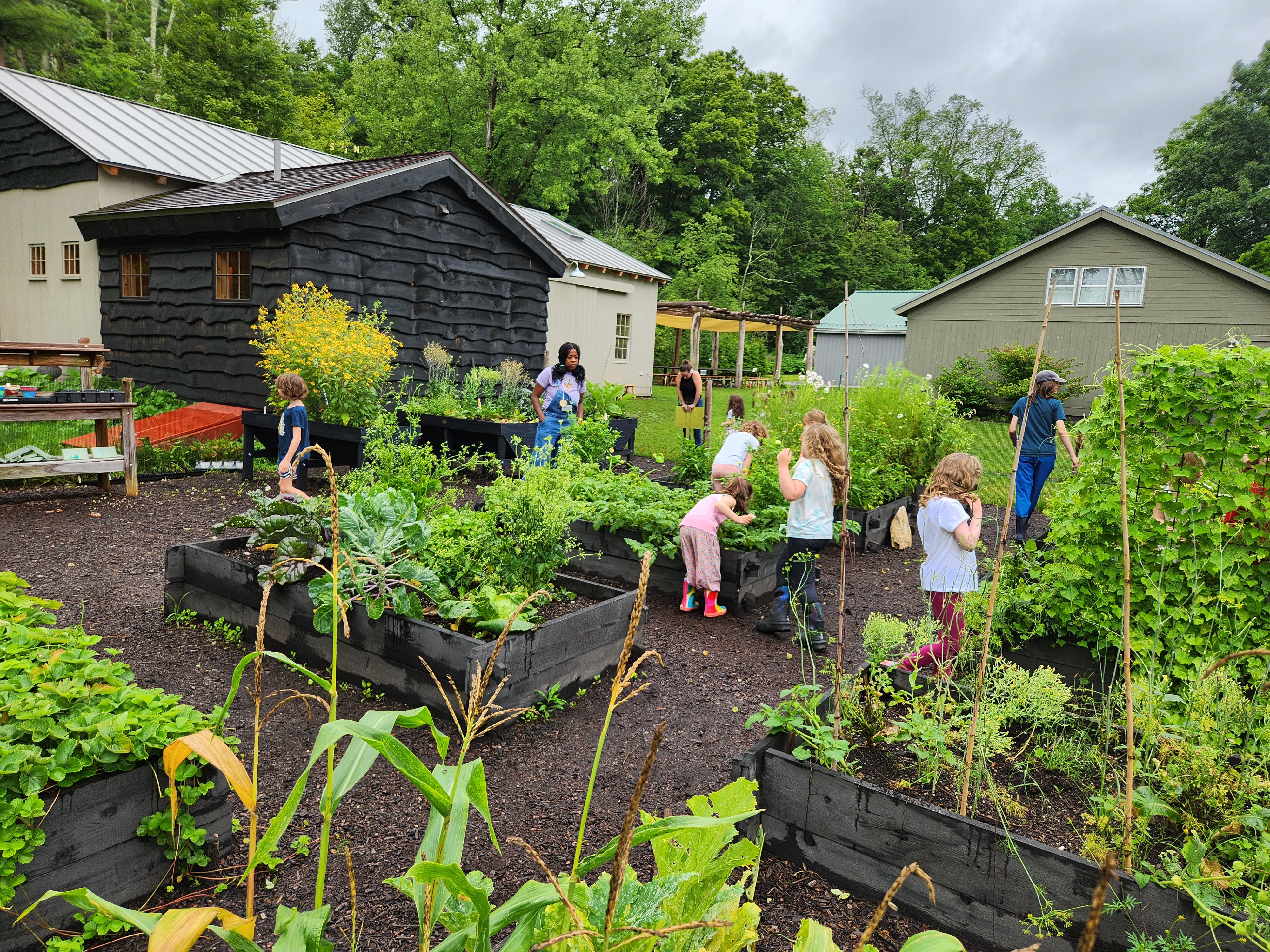 Leave Your Mark in Our Garden! cover image