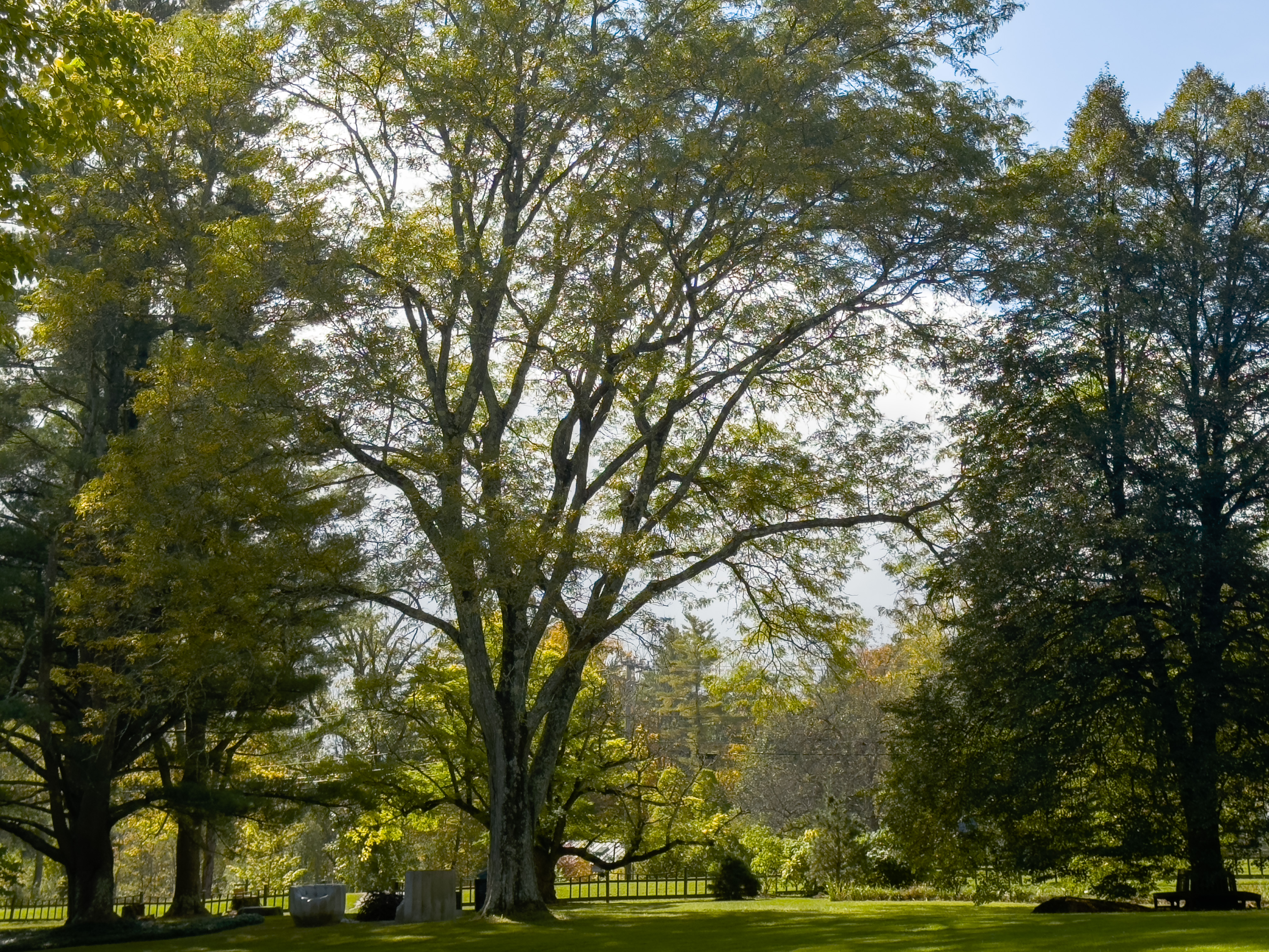 Rooting for the Future cover image