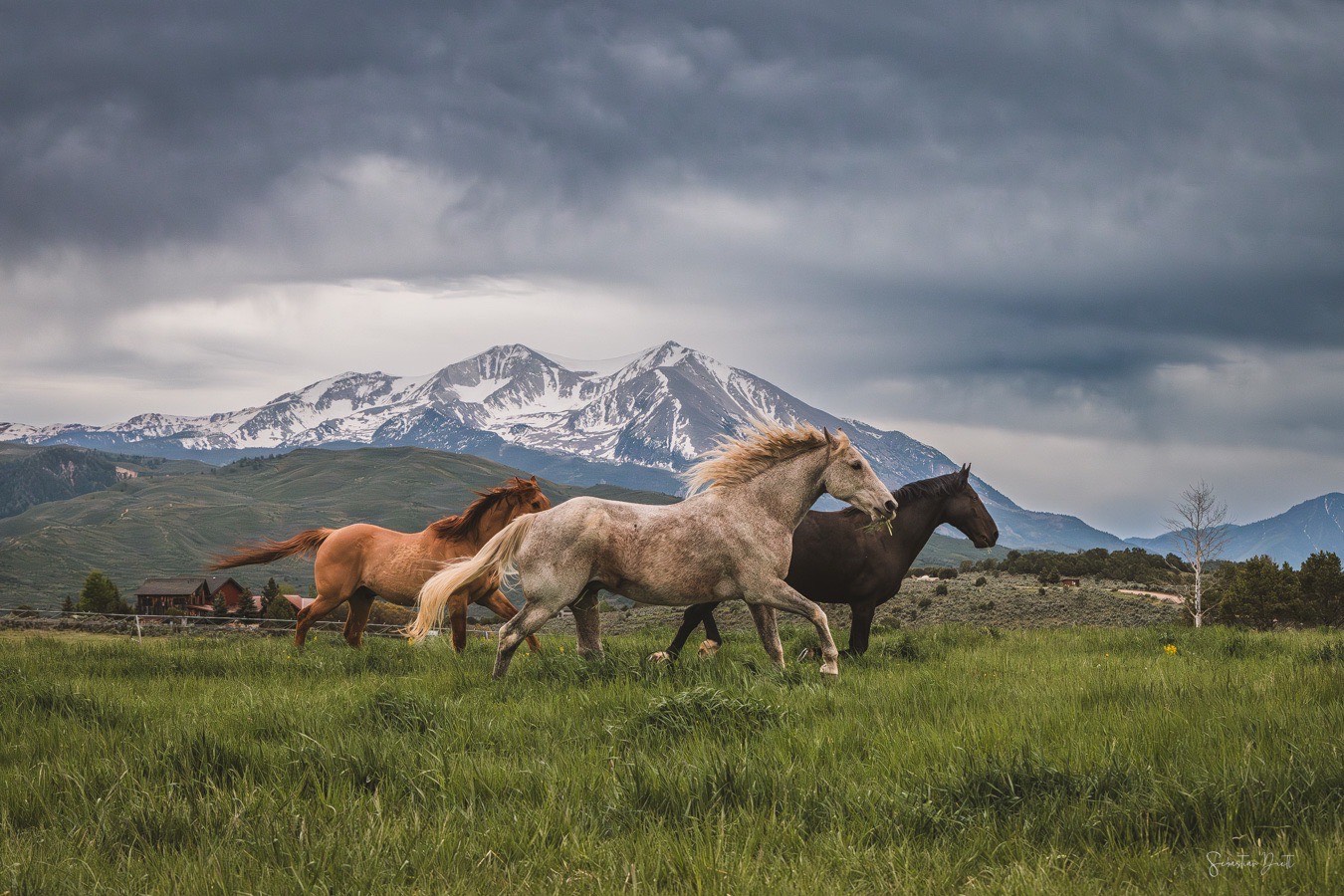 WindWalkers cover image