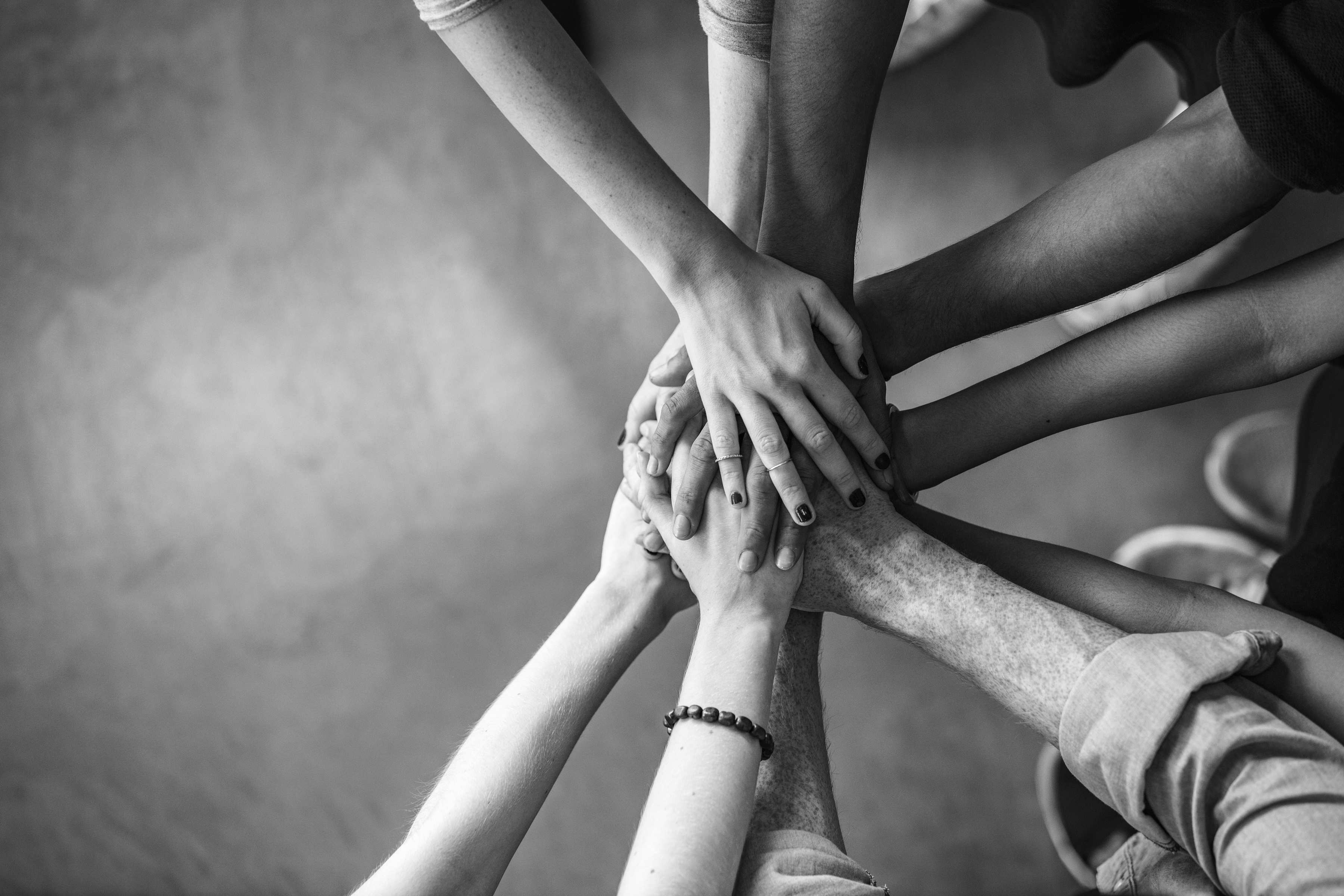 Donate Stock to Stop the Clot cover image