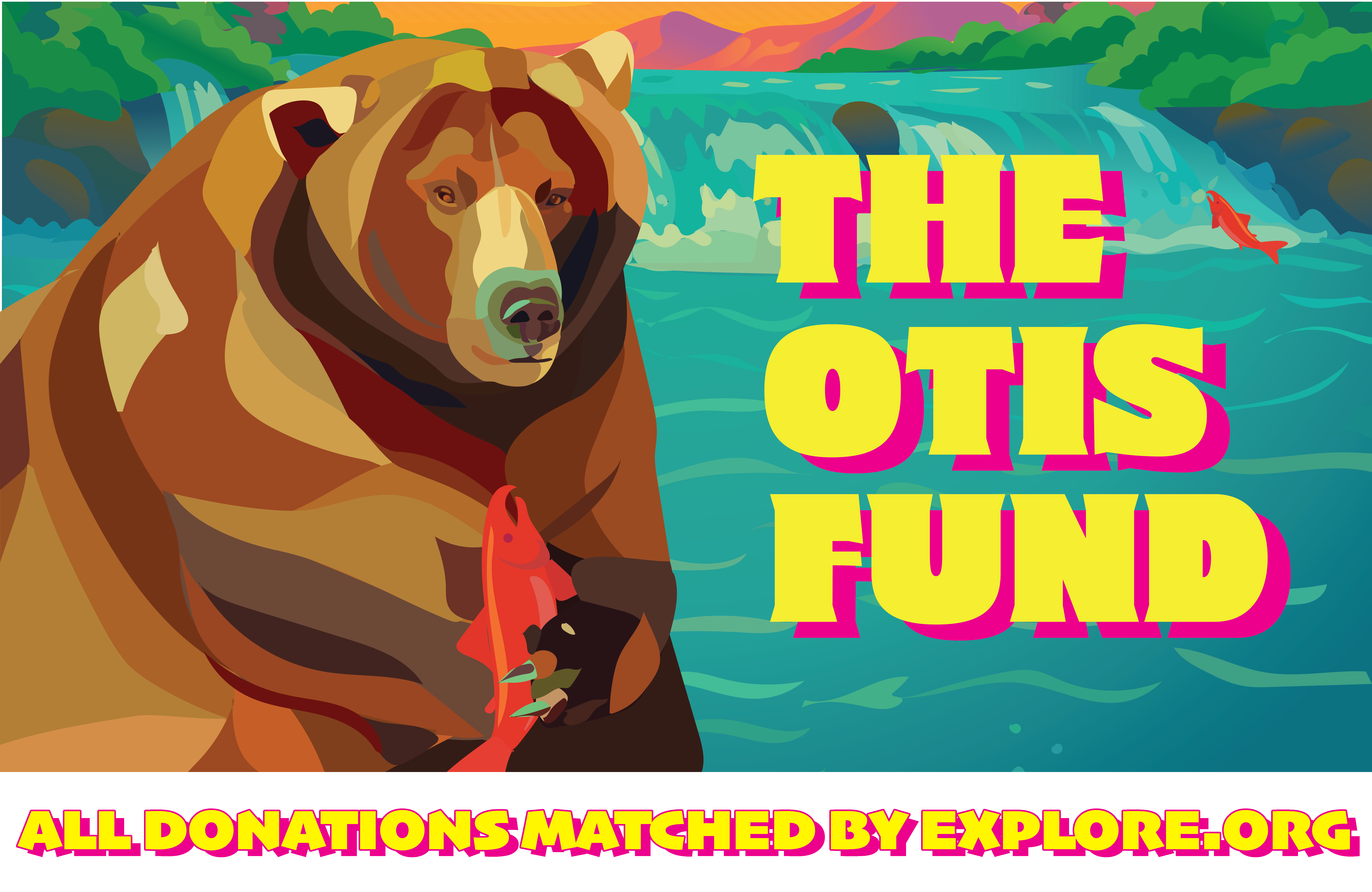 Katmai Conservancy Otis Fund cover image