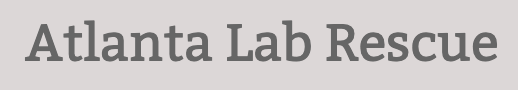 Nonprofit logo