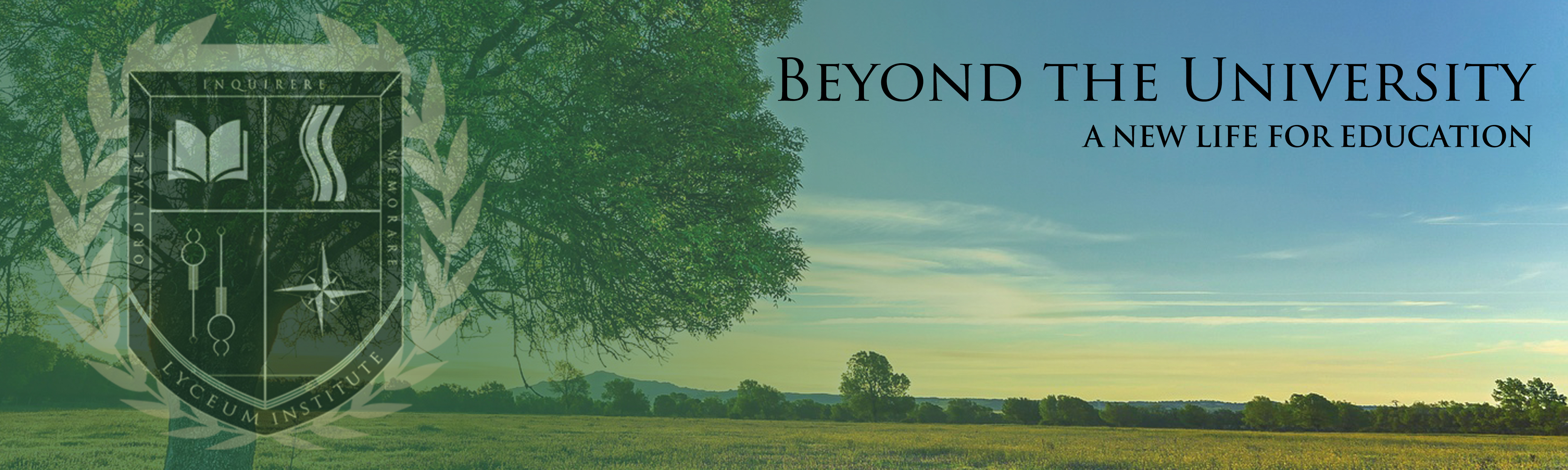 Beyond the University cover image