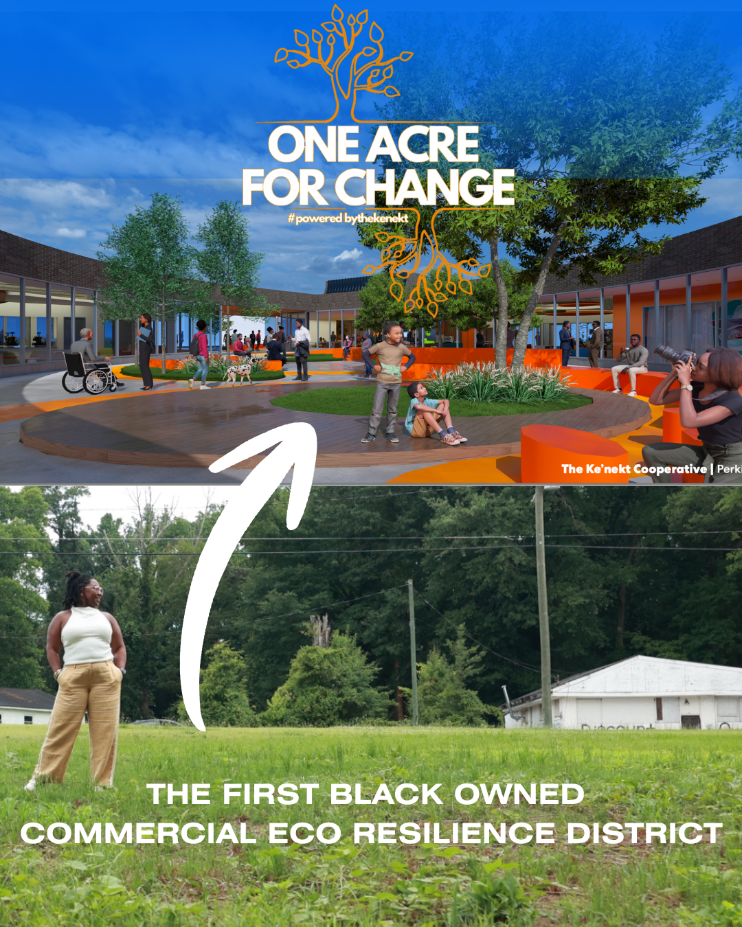 Buy Back The Block cover image