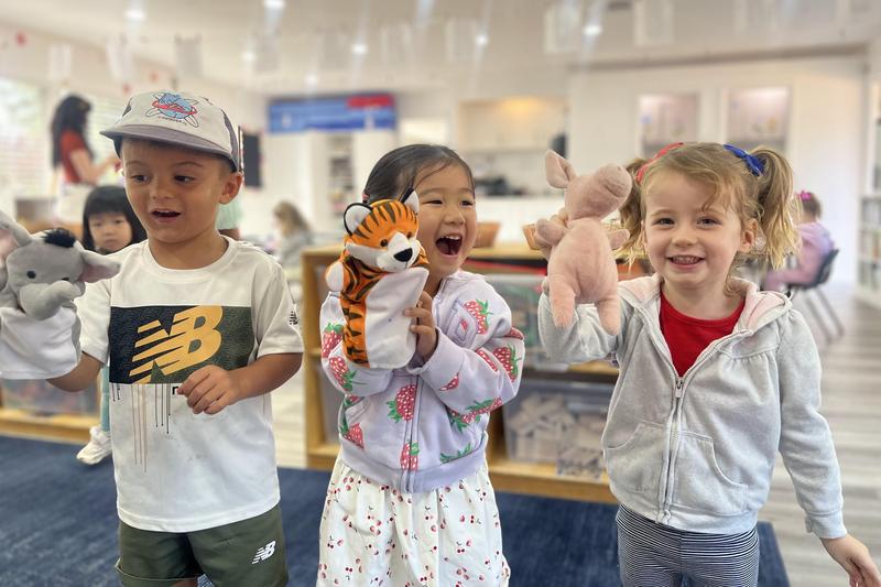 The Saklan School cover image