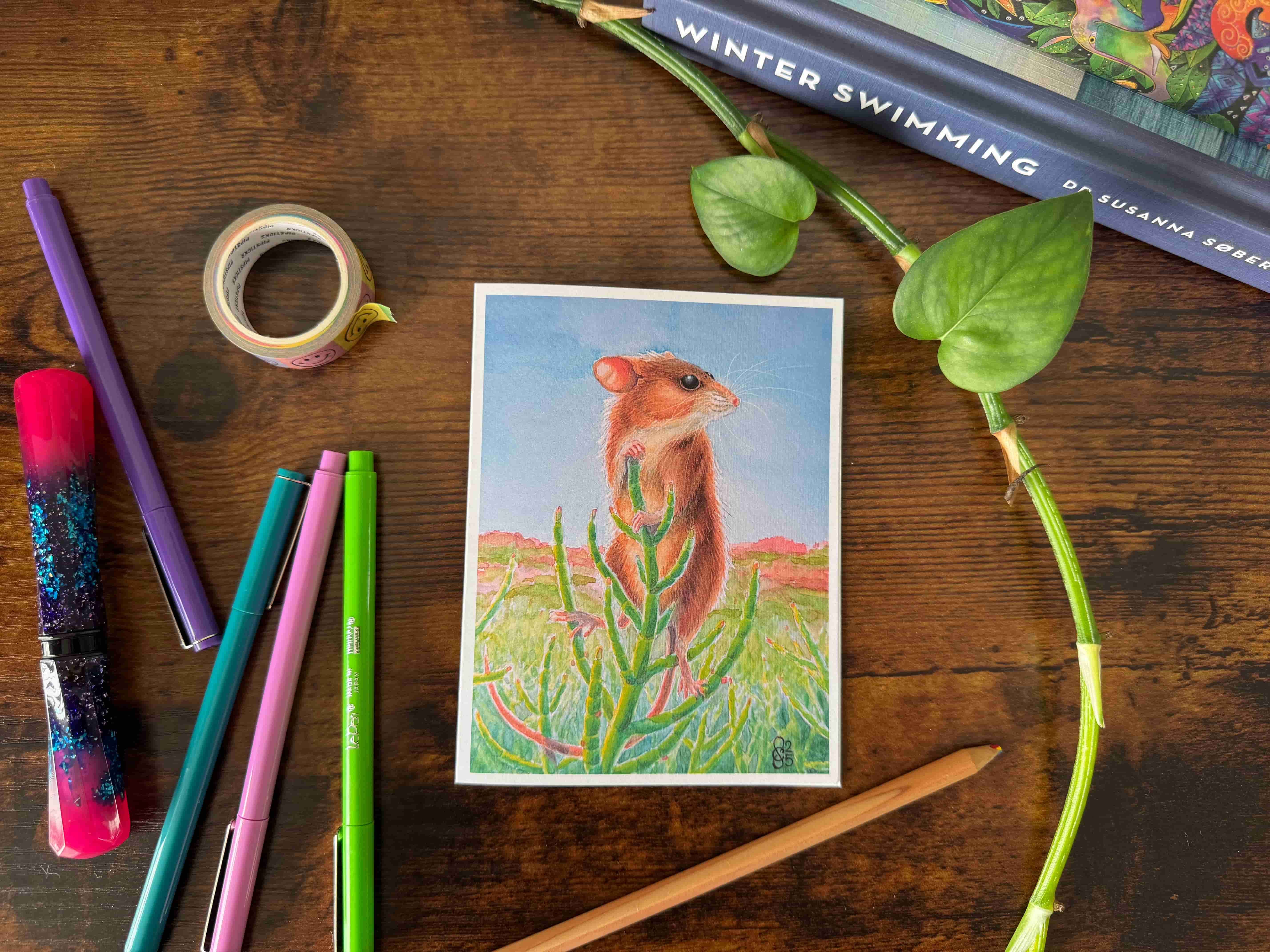 Salt Marsh Harvest Mouse (10) cover image