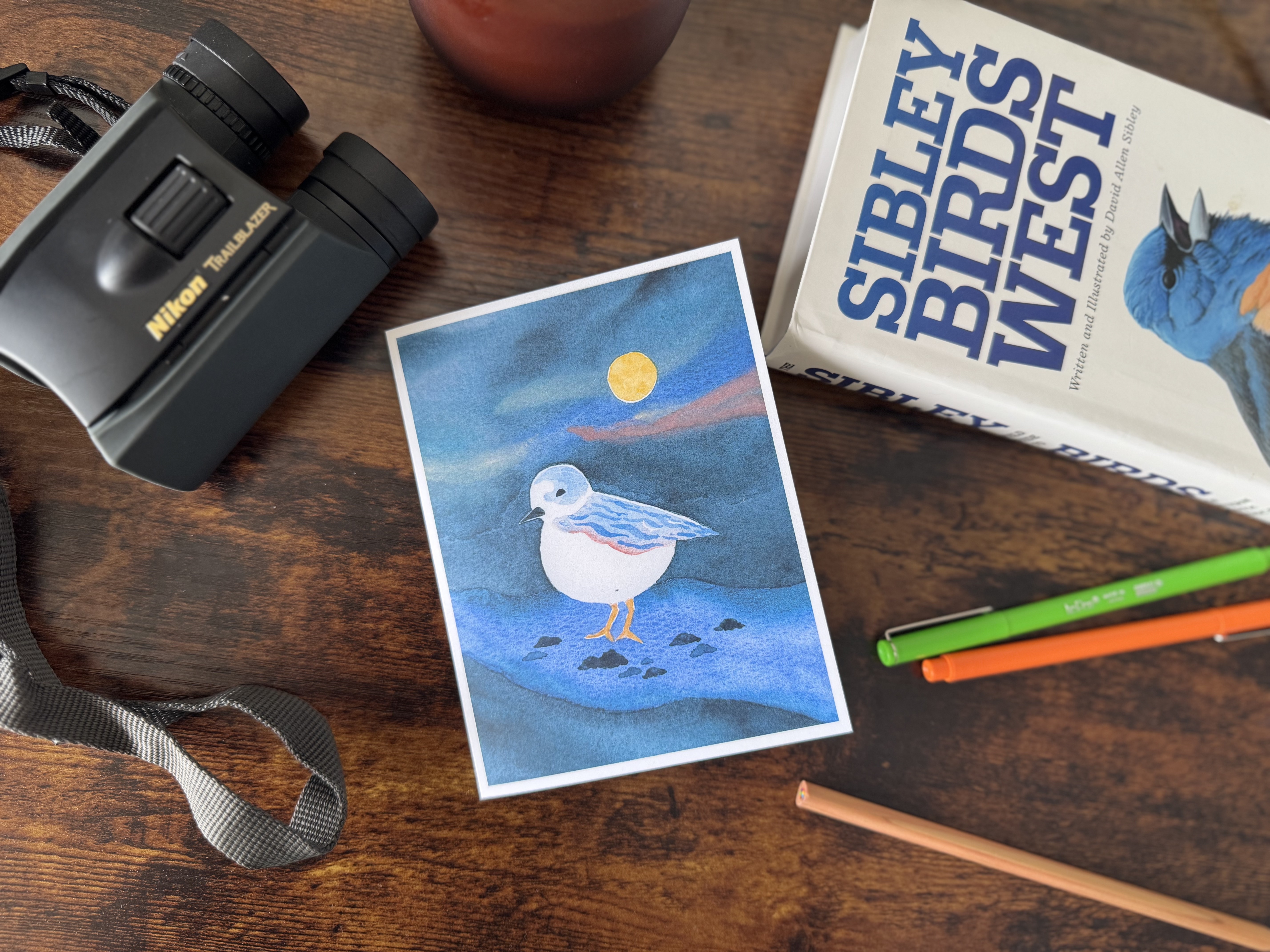 Western Snowy Plover (10 pack) cover image