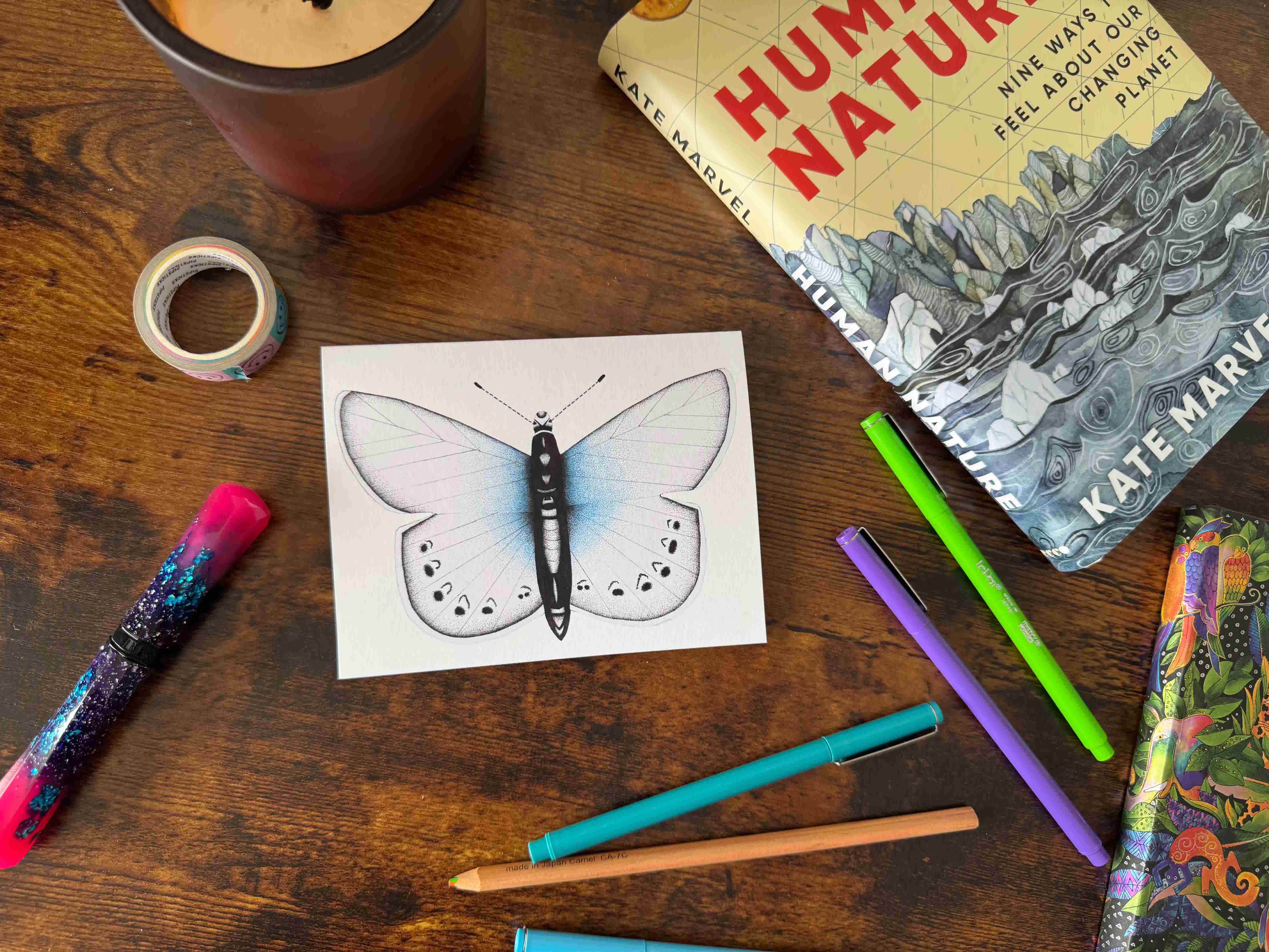 Western Pygmy Blue (10 pack) cover image