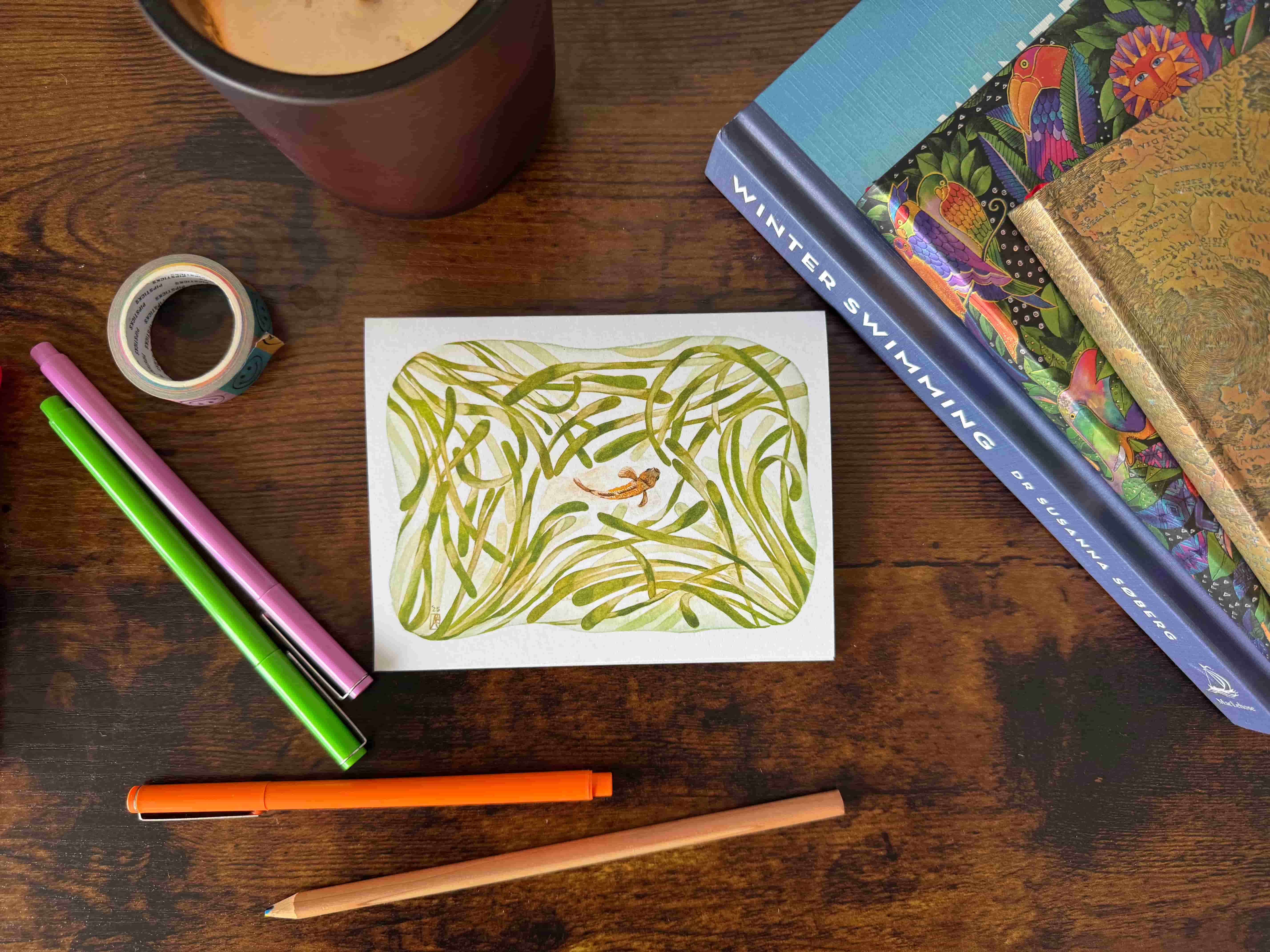 Tidewater Goby (5 pack) cover image