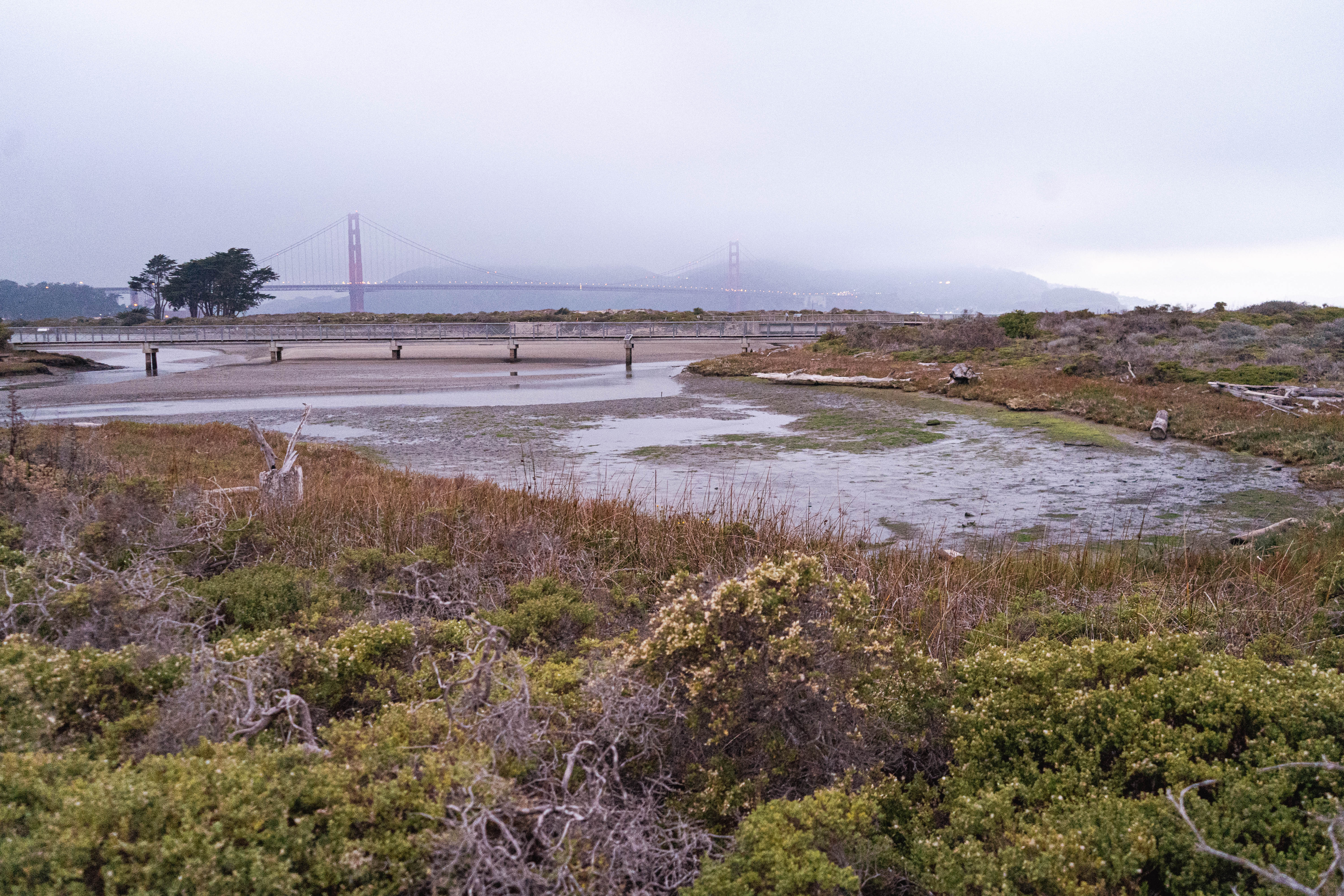 No Cards cover image