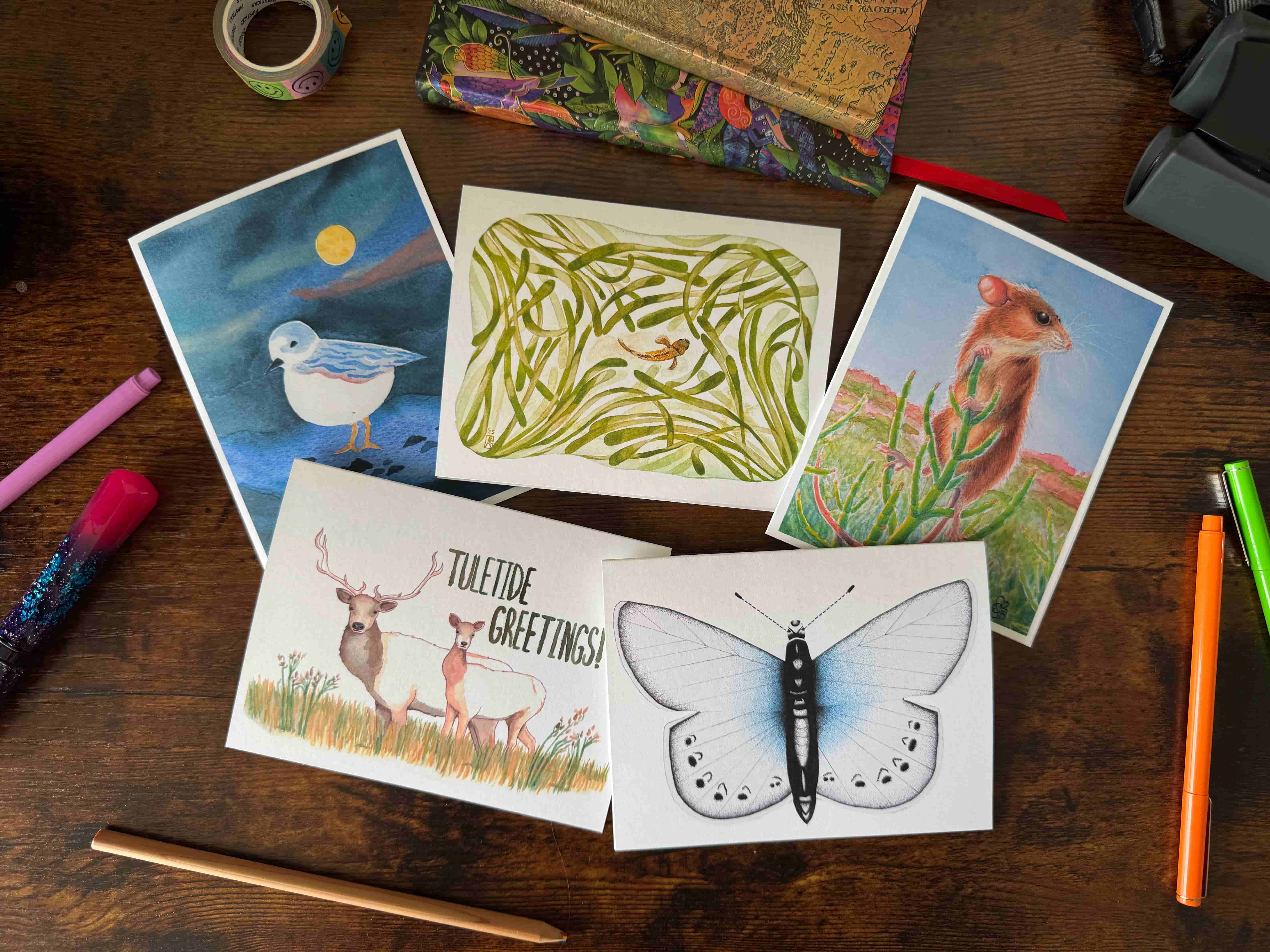 Variety 5 Pack cover image