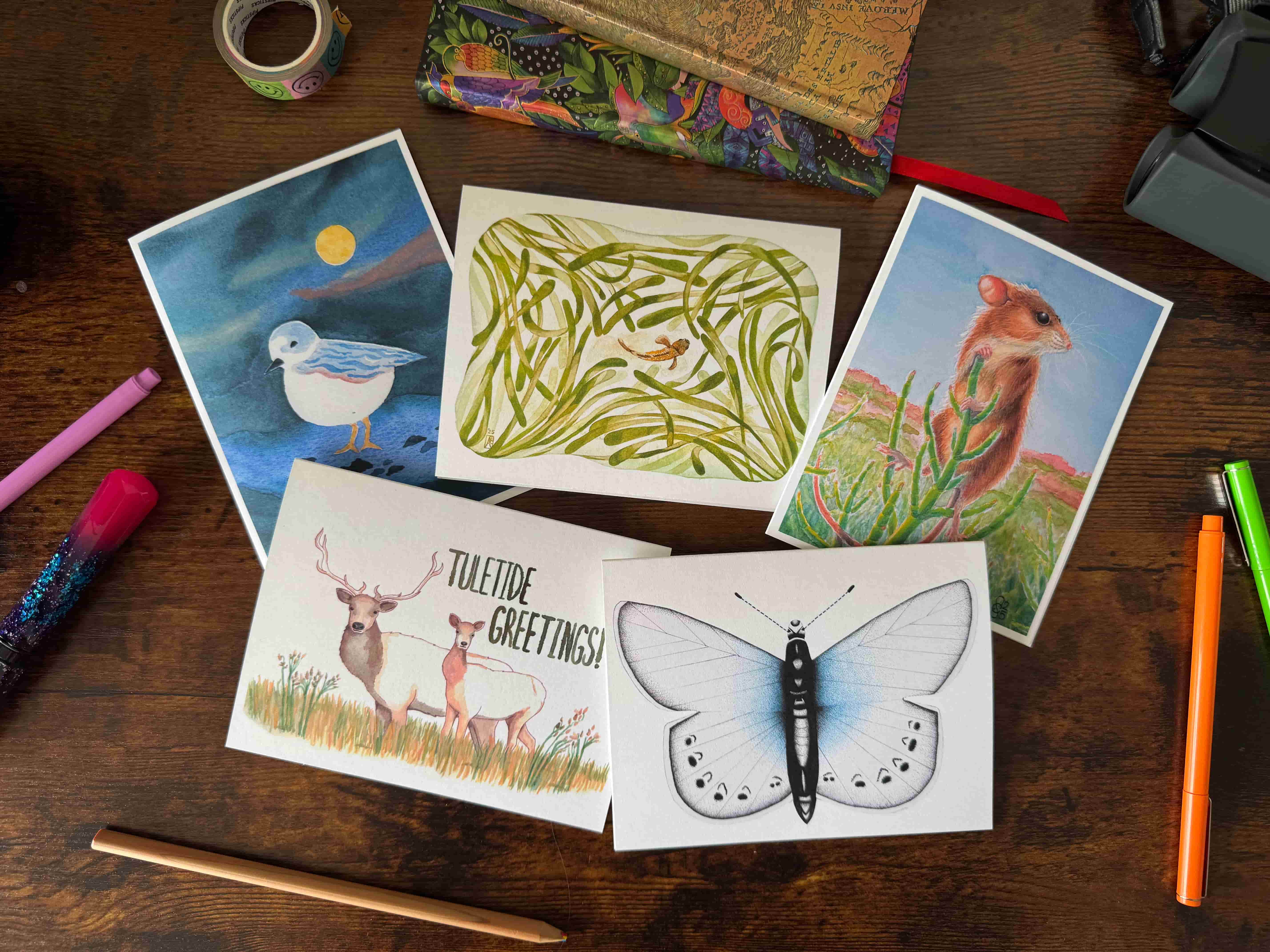 Variety 10 Pack cover image