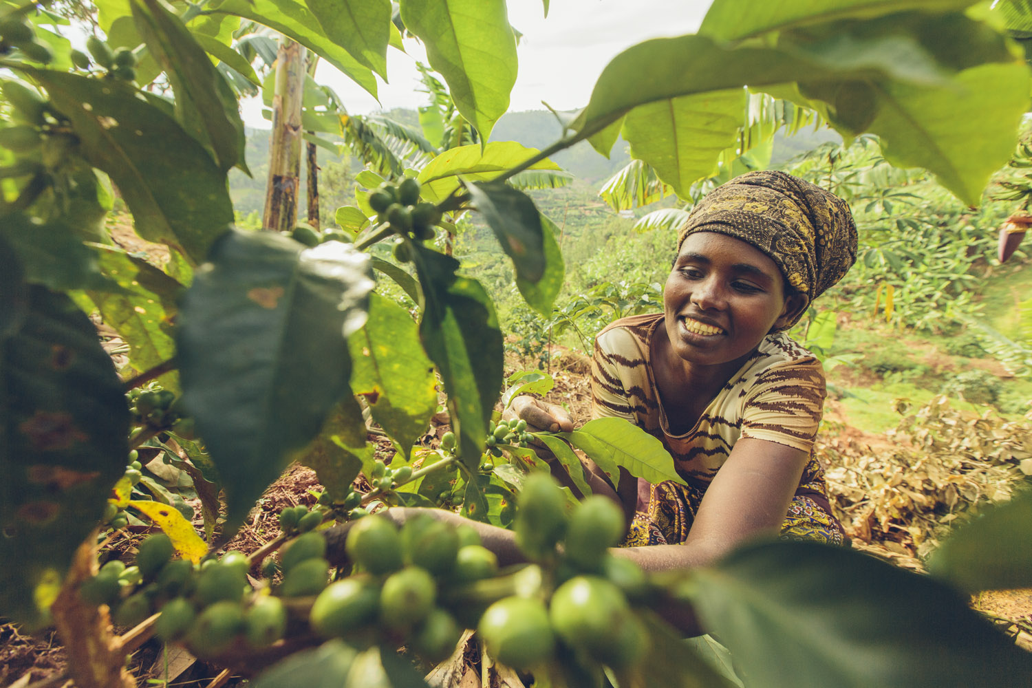 Kula Project cover image