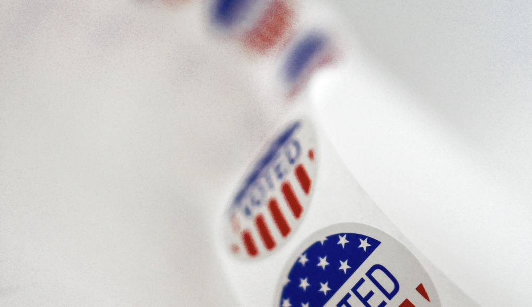 End Voter Fraud cover image