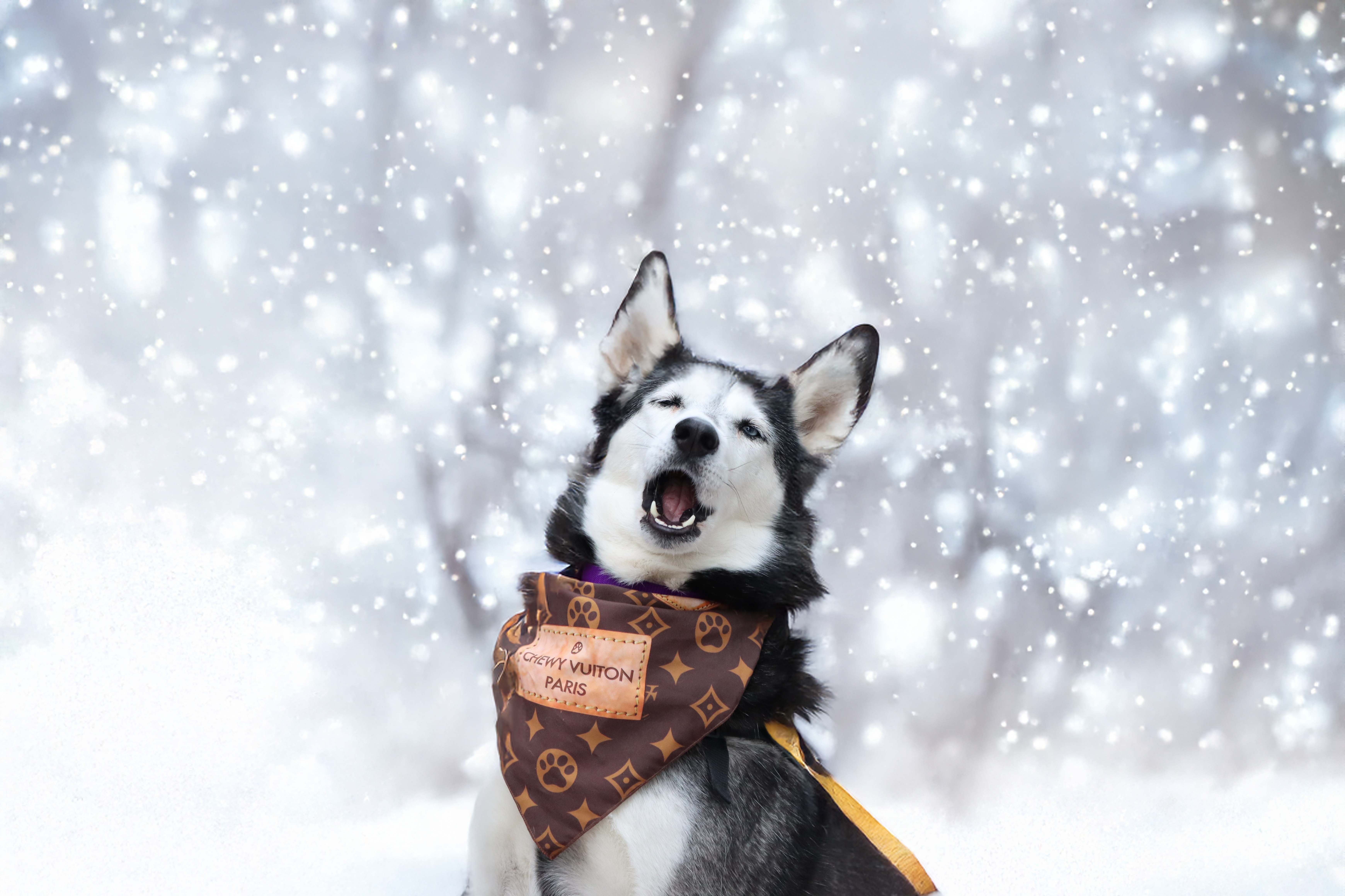 Campaign cover image