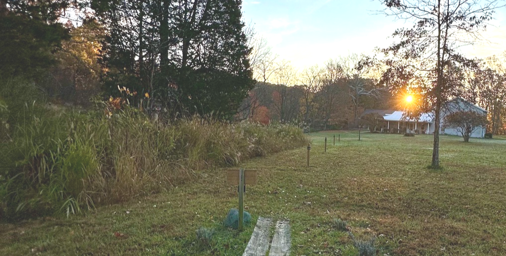 Campaign cover image