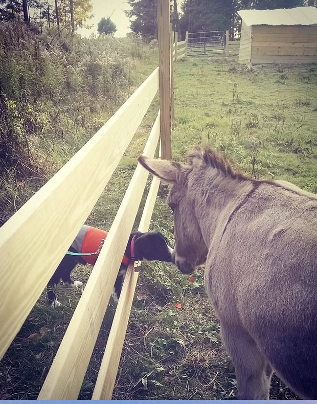 Campaign cover image