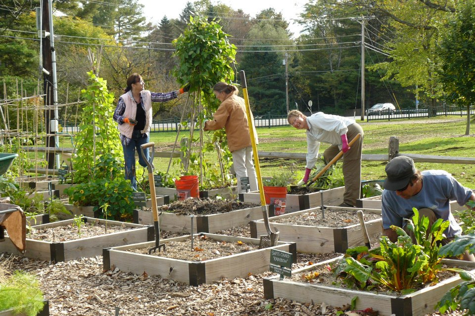Leave Your Mark in Our Garden! cover image
